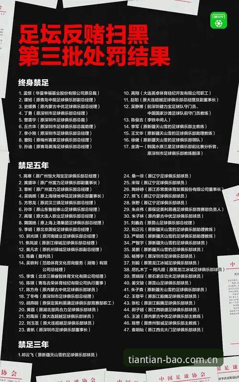 天宝博体育用户解读足协禁足名单完整指南